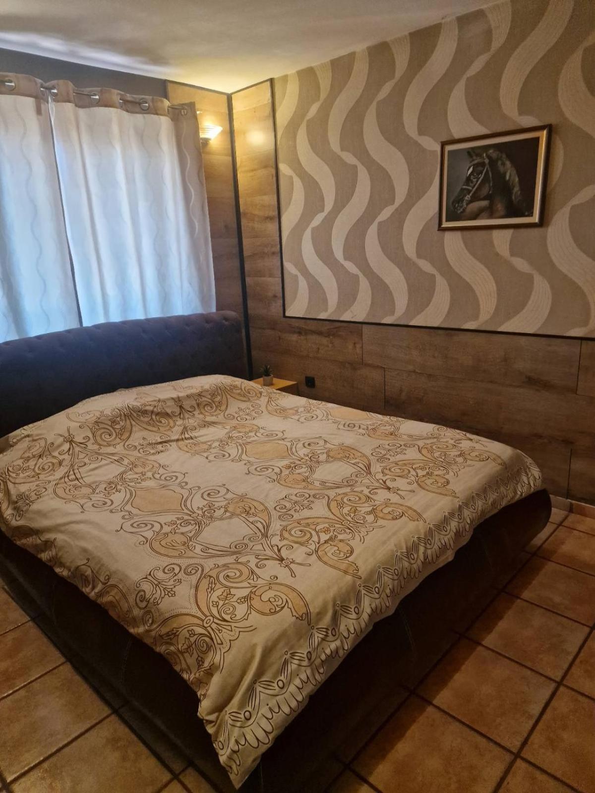 Guest House Maja Novi Sad Ngoại thất bức ảnh