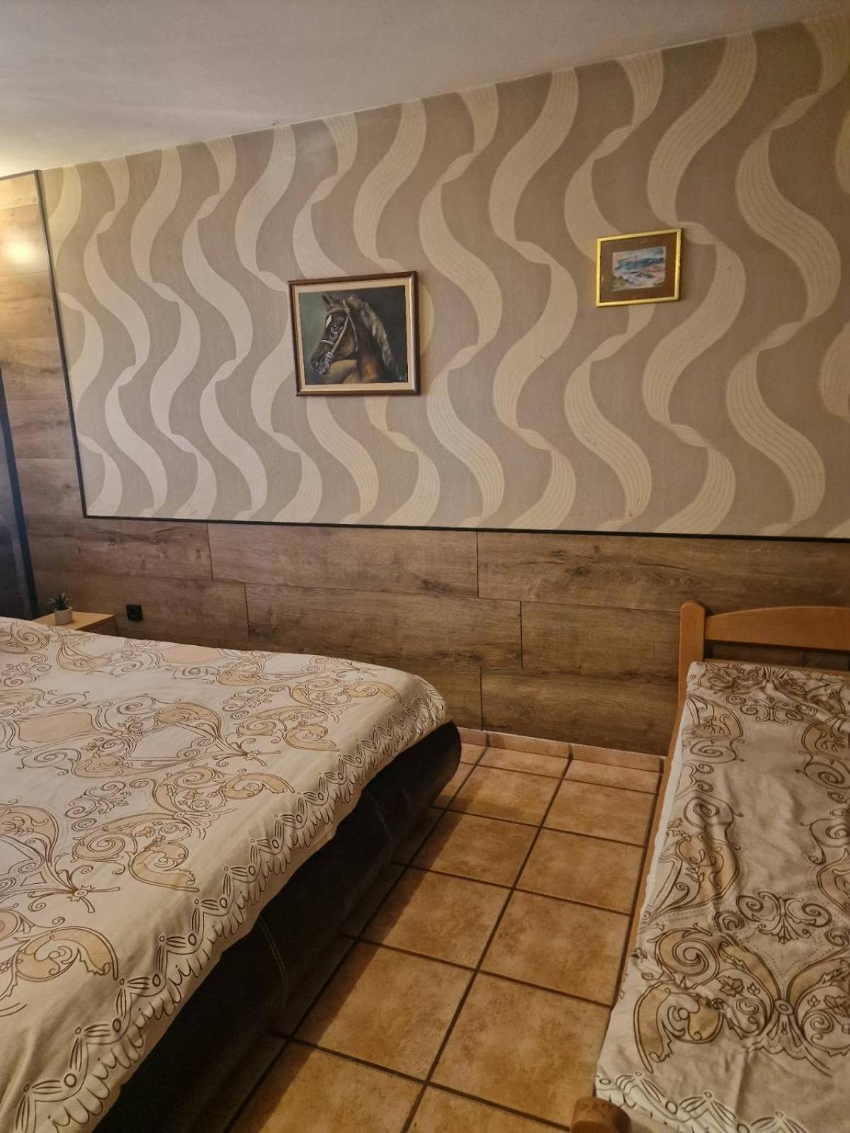 Guest House Maja Novi Sad Ngoại thất bức ảnh